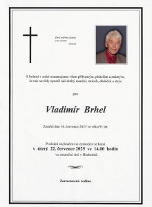 Obrázek